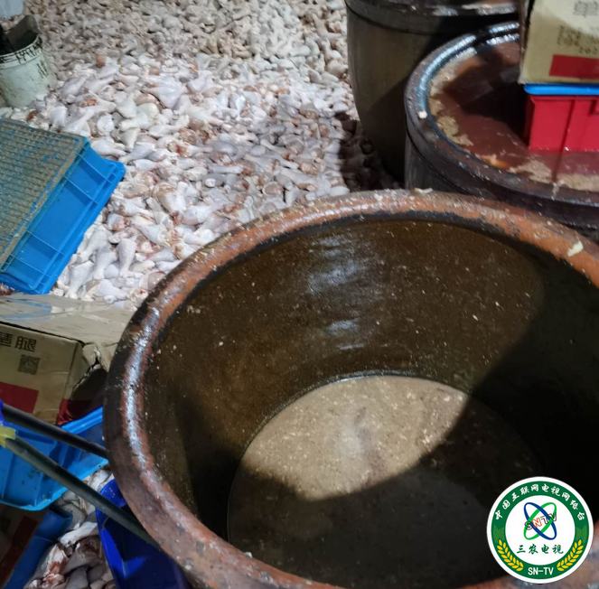 //ruanwen.miao98.com/Upload/59/1588729886018.docx_html_537bf027.png插图(1)