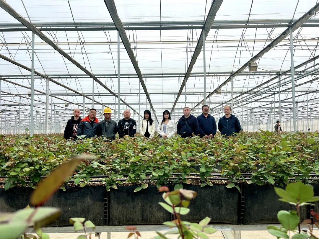 肥多多走访云南云天化花匠铺，“互联网+花”开启花卉产业新未来