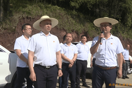 1657850411626307.jpg 1.jpg