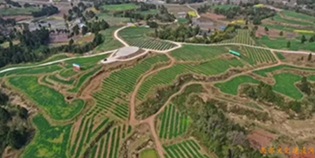 1657850422239022.jpg 2.jpg