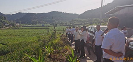 1657850436716344.jpg 3.jpg