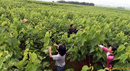 1657850449472401.jpg 4.jpg