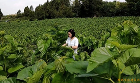 1657850460160148.jpg 5.jpg