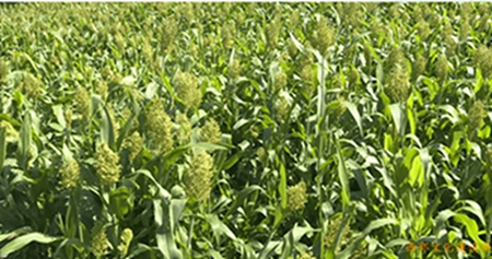 1657850472483092.jpg 6.jpg