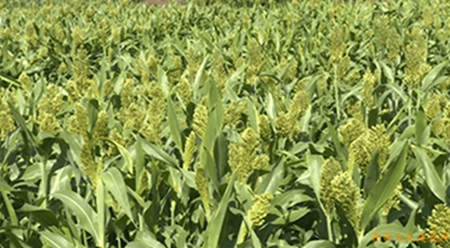 1657850483743942.jpg 7.jpg