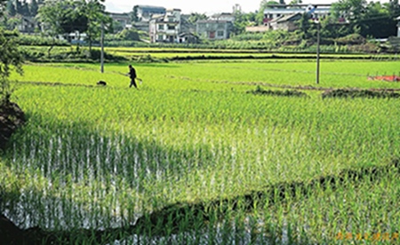 1657850530609852.jpg 9.jpg