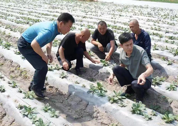 1658557401136117.jpg 微信图片_20220722144245.jpg