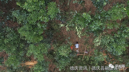 1681740556583595.jpg 1.jpg