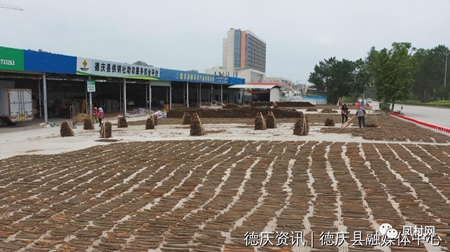 1681740632404869.jpg 6.jpg