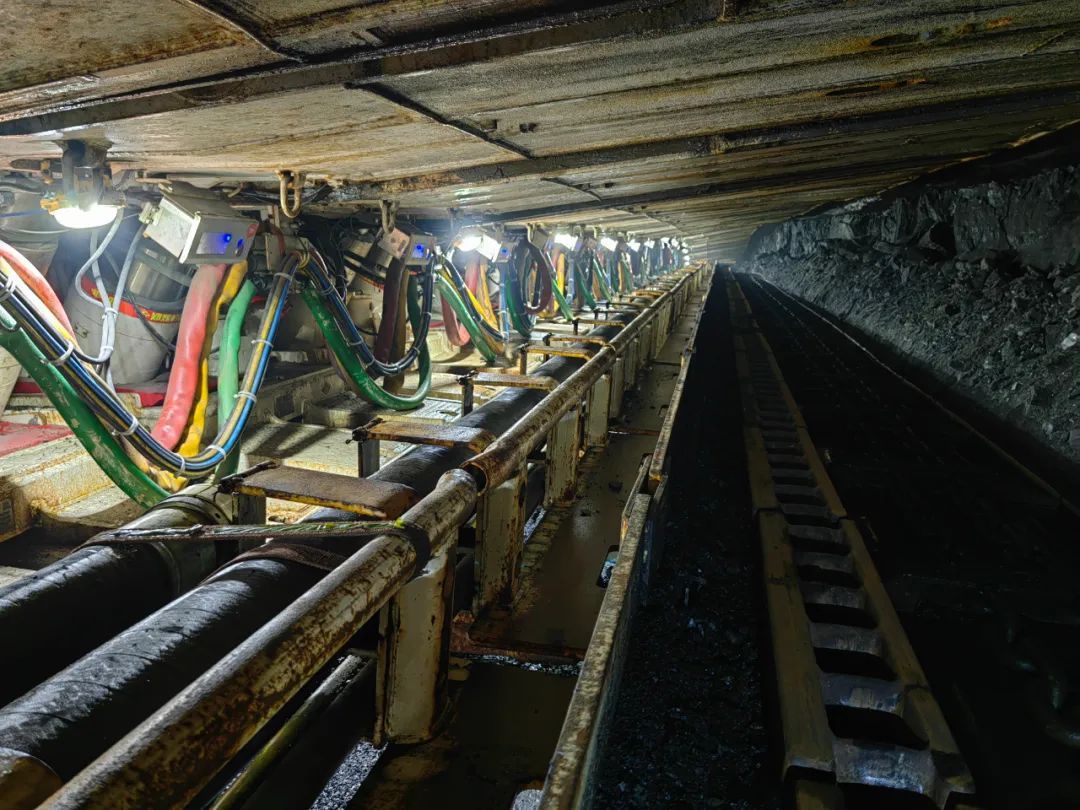 1690856174666903.jpg 图片 2.jpg