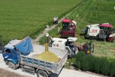 1692060619803678.jpg 360截图20230813084636150.jpg