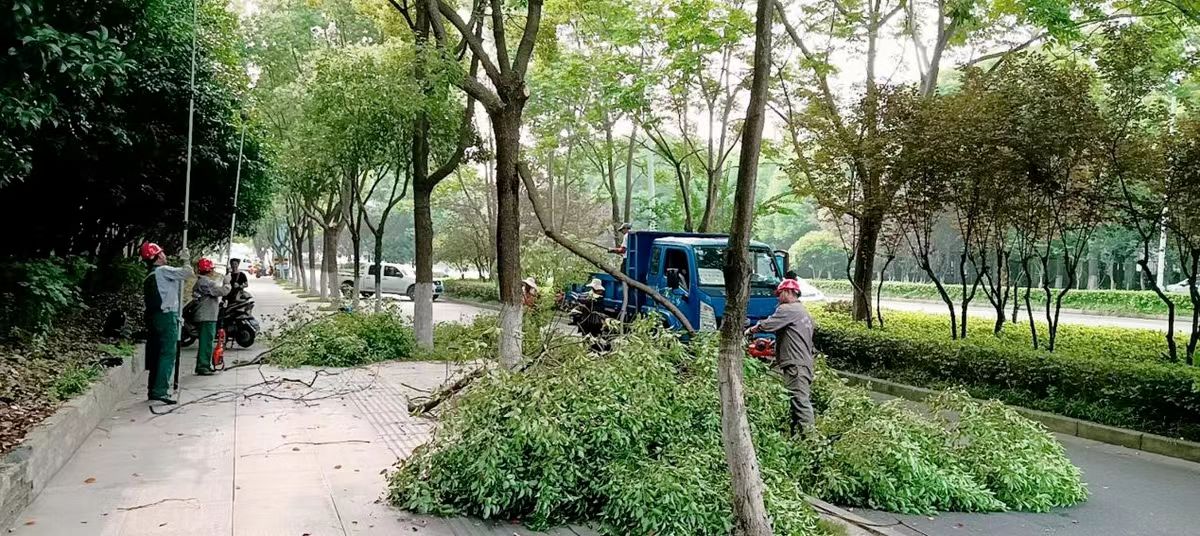 1692942713342440.jpg 微信图片_20230825135104.jpg