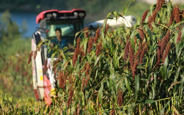 1693709592538484.jpg 360截图20230903001437564.jpg