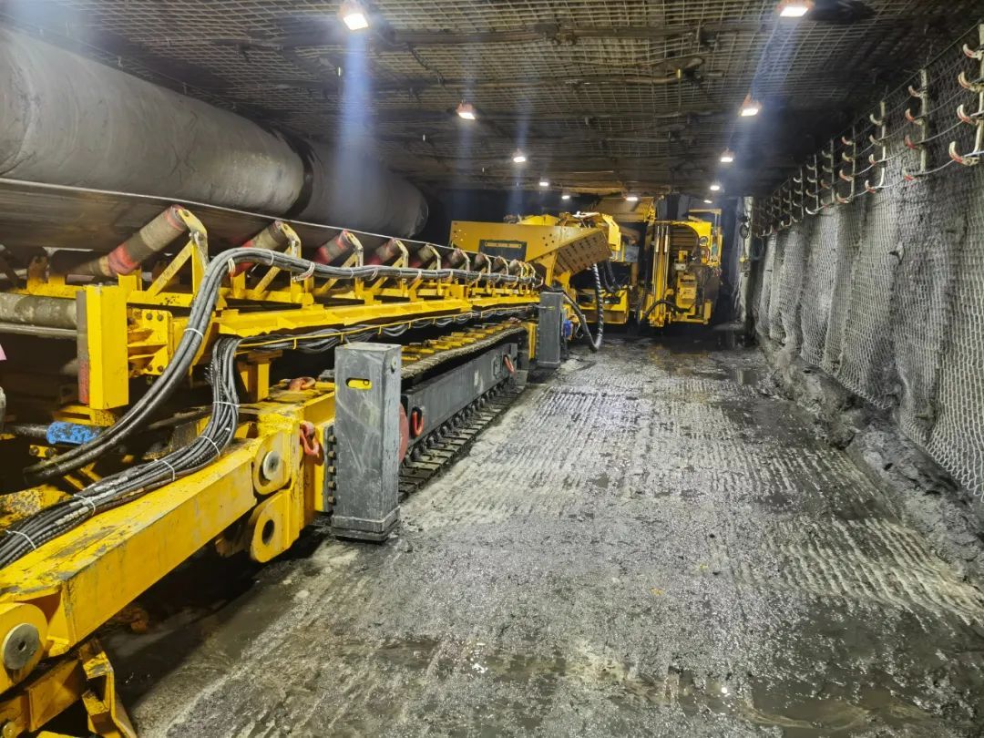 1693878607333369.jpg 图片 1.jpg