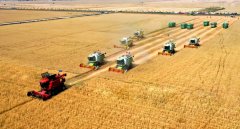 河南驻马店:打好粮食“王牌” 做强“农头工尾” 河南驻马店:打好粮食“王牌” 做强“农头工尾”