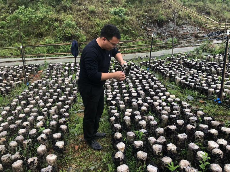 2 图为帮助农户发展黑木耳产业.jpg