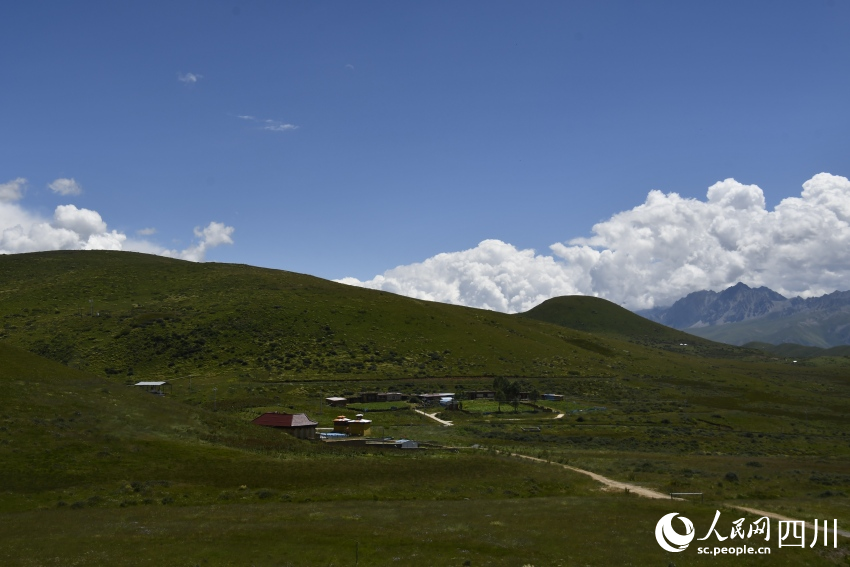 四川省甘孜州甘孜县卡攻乡庄里村的草场。人民网记者 王洪江摄