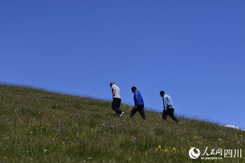 赵杰和同事在庄里村草场查看牧草长势。人民网记者 王洪江摄