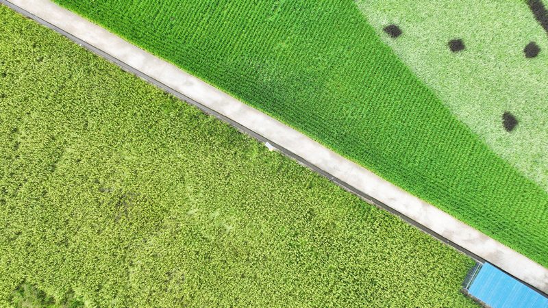 7、路相通。 陈桂良摄.JPG