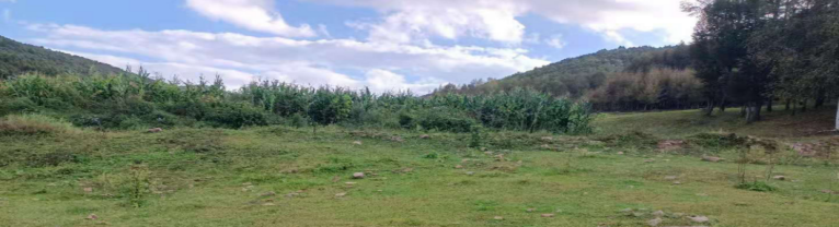 微信图片_20231007165441