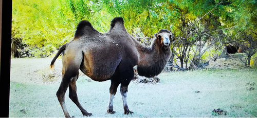 15100134634847339_5.png 15100134634847339_5.png